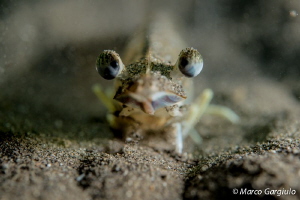 Look me! by Marco Gargiulo 